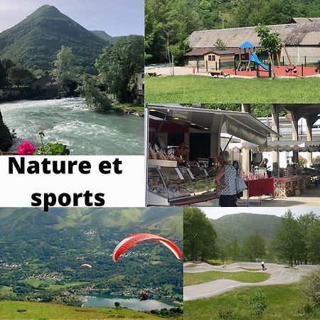 Jolie Maison De Ville En Bord De Neste 8/9 Pers Sarrancolin Dış mekan fotoğraf